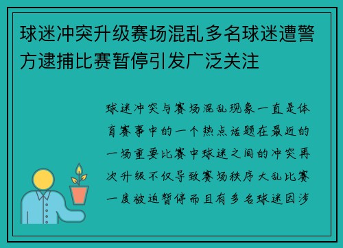 球迷冲突升级赛场混乱多名球迷遭警方逮捕比赛暂停引发广泛关注