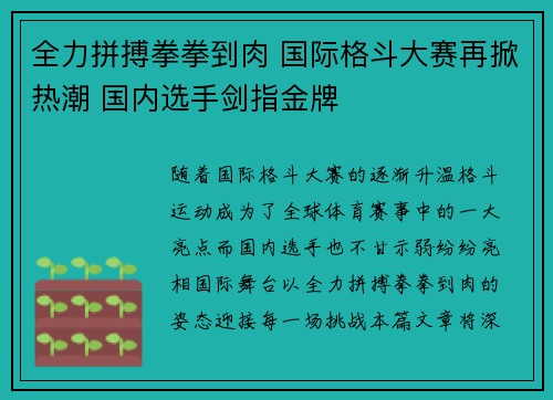 全力拼搏拳拳到肉 国际格斗大赛再掀热潮 国内选手剑指金牌
